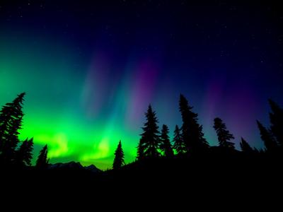 Alaska's Select Inn Wasilla — gallery preview 1